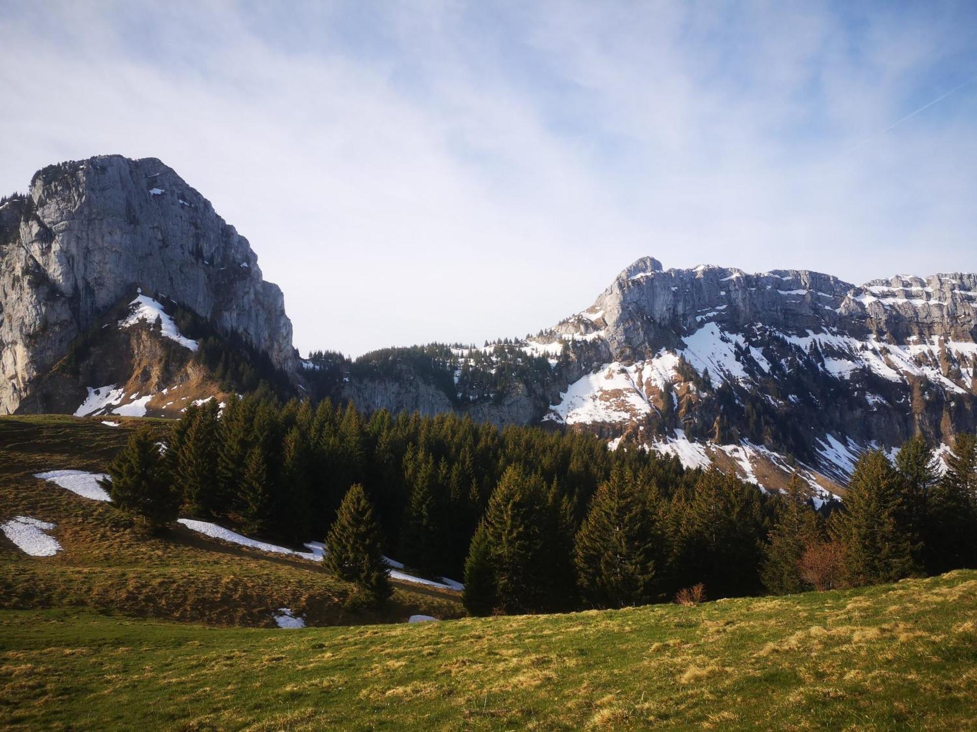 Domaine De La Griffe - Chambres D'Hotes "Roche Parnal" ラ・ロシュ・シュル・フォロン エクステリア 写真