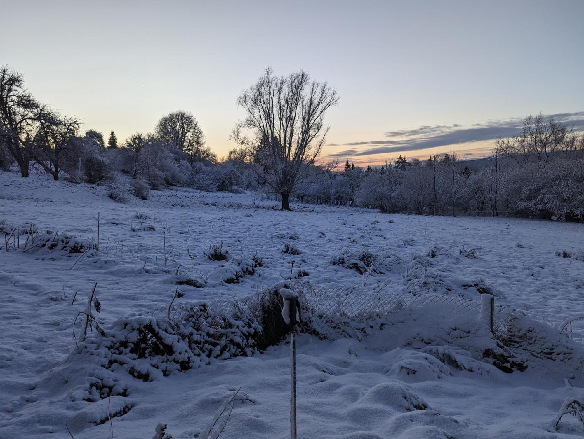 Domaine De La Griffe - Chambres D'Hotes "Roche Parnal" ラ・ロシュ・シュル・フォロン エクステリア 写真