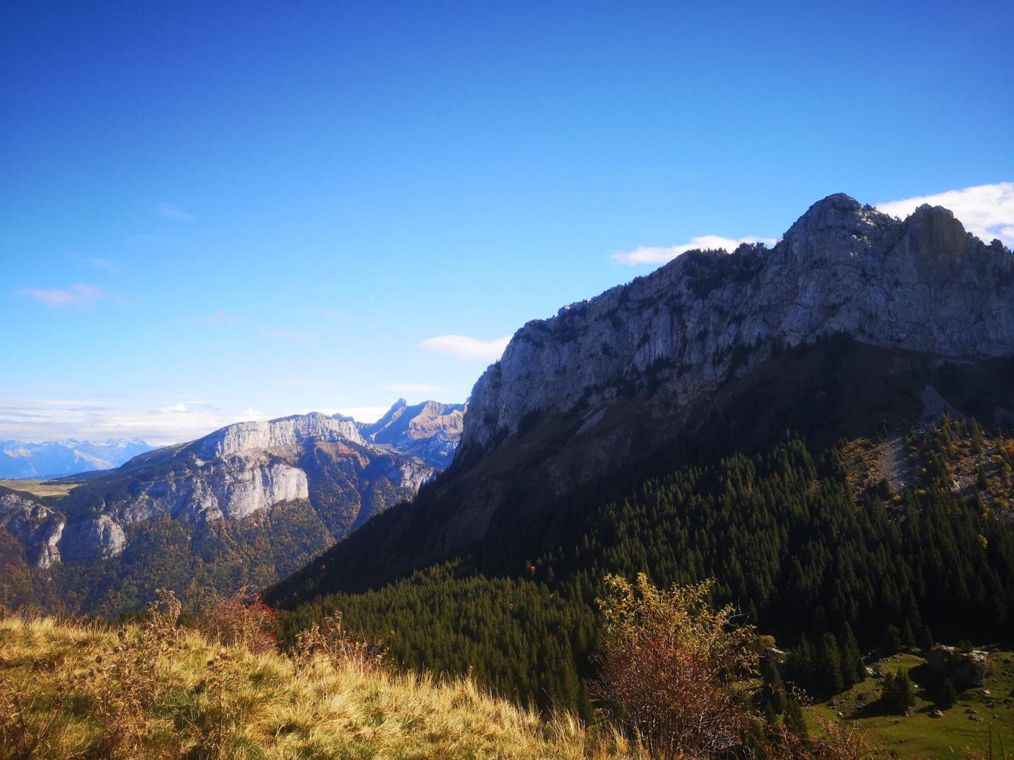Domaine De La Griffe - Chambres D'Hotes "Roche Parnal" ラ・ロシュ・シュル・フォロン エクステリア 写真