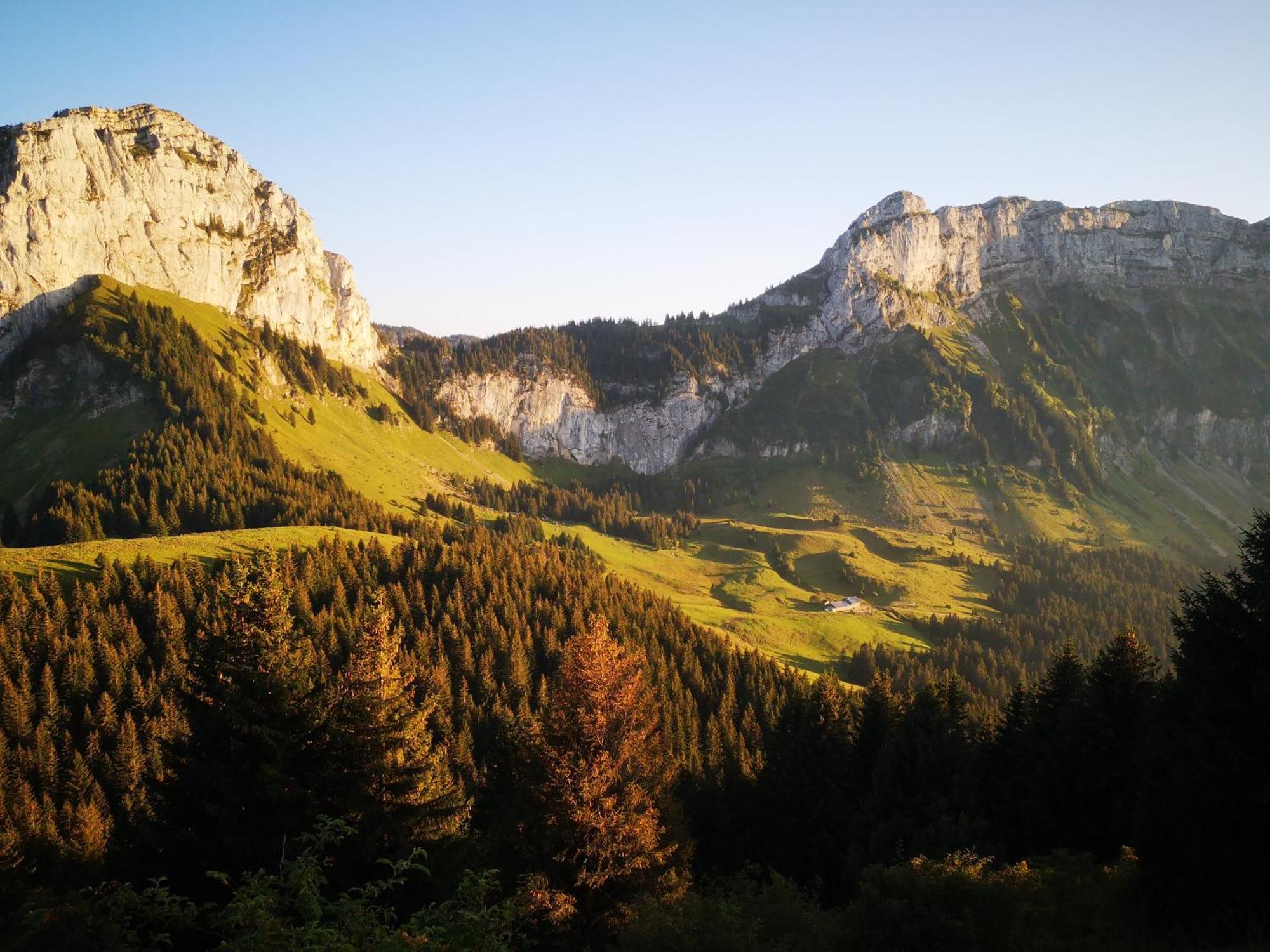 Domaine De La Griffe - Chambres D'Hotes "Roche Parnal" ラ・ロシュ・シュル・フォロン エクステリア 写真